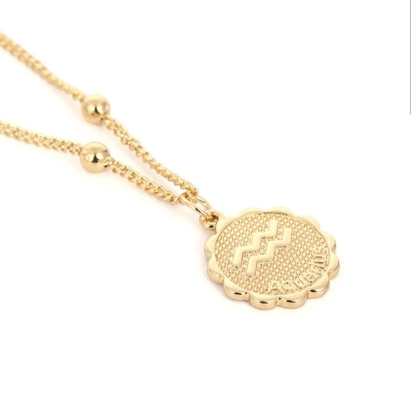 Aquarius Zodiac Coin Necklace - Picture 2 of 4